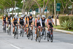 SunLifeCycle2025-983
